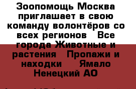 Зоопомощь.Москва приглашает в свою команду волонтёров со всех регионов - Все города Животные и растения » Пропажи и находки   . Ямало-Ненецкий АО
